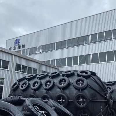 جودة Two-year Warranty Pneumatic Rubber Fender 2.5*5.5M For Vessel Berthing مصنع