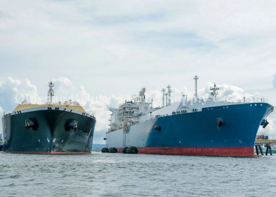 جودة يوكوهاما مطاط هوائي درابزين لنقل السفن إلى سفينة (STS) Pperations مصنع