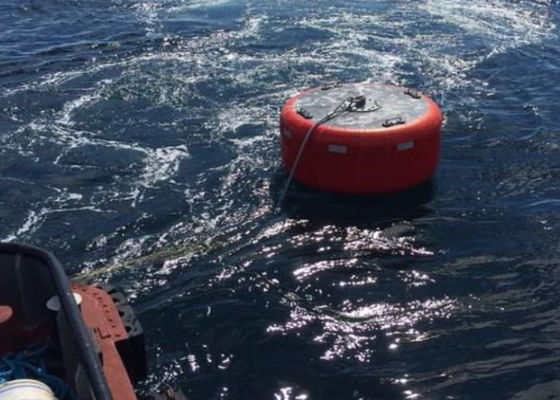 جودة السفينة البحرية رباط العوامة إيفا مادة البوليثين مع الأداء العالي مصنع