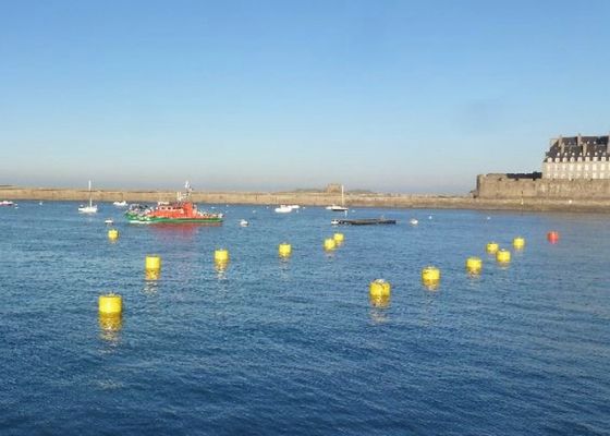 جودة Rod Offshore Mooring Buoy، Polythene Channel Marker Buoy للحياة المائية مصنع