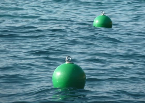 جودة Rod Offshore Mooring Buoy، Polythene Channel Marker Buoy للحياة المائية مصنع
