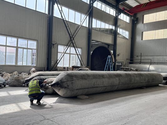 جودة Anti Corrosion Marine Rubber Airbag for Long Term Saltwater Service with 0.8-3 M Diameter المصنع