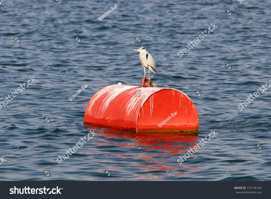 جودة عوامة عائمة بحرية مملوءة بالرغوة وعوامة إرساء فولاذية بسلسلة من خلال مصنع